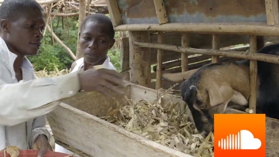 PODCAST: Take On: Pawpaw and Goats - Surprising Ways to Combat Climate Change in Kenya